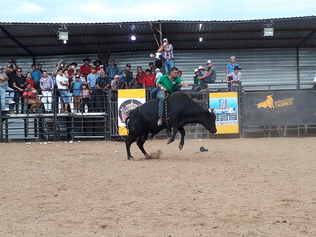 TOROS1